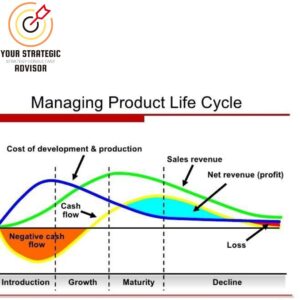 Read more about the article Product Life Cycles