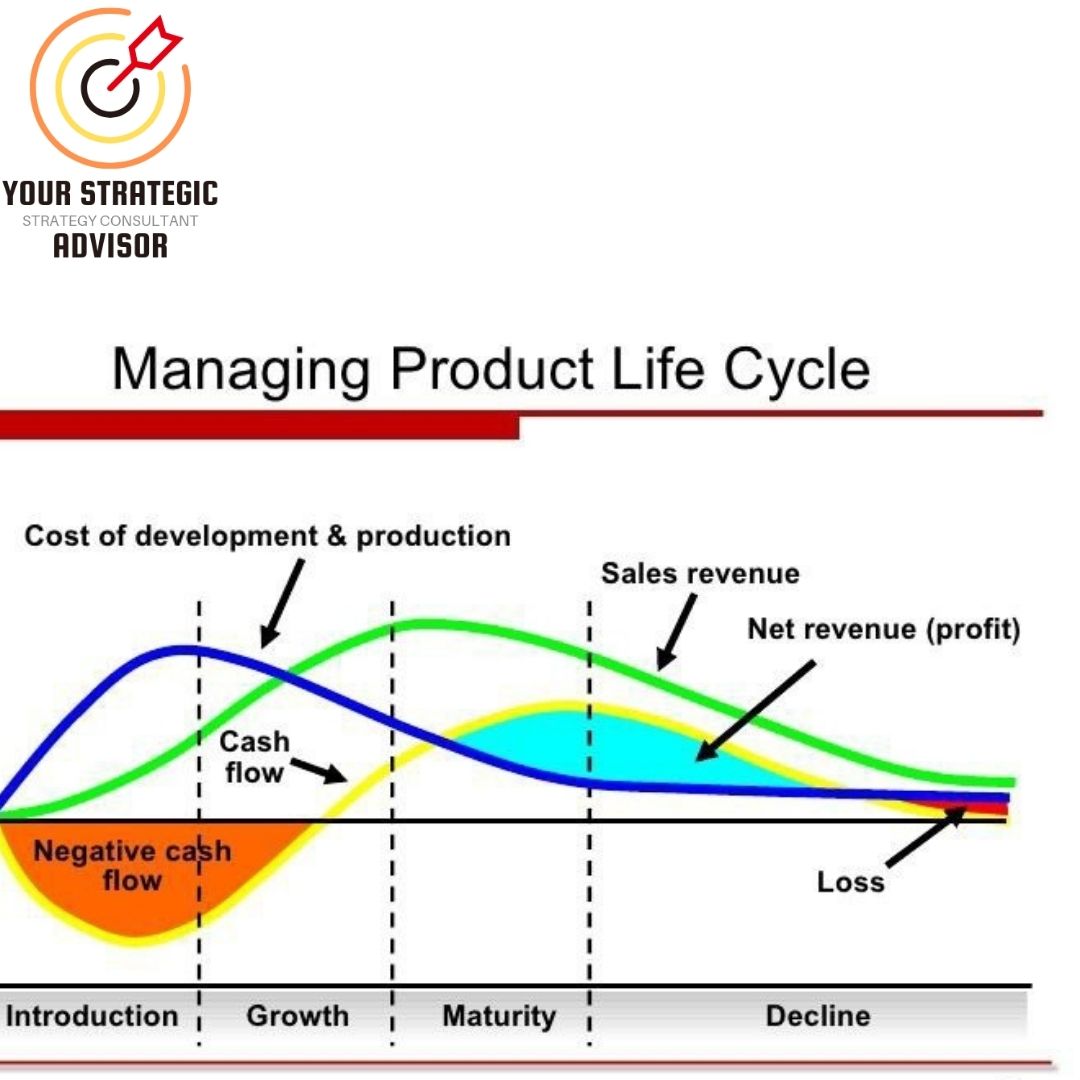 Read more about the article Product Life Cycles